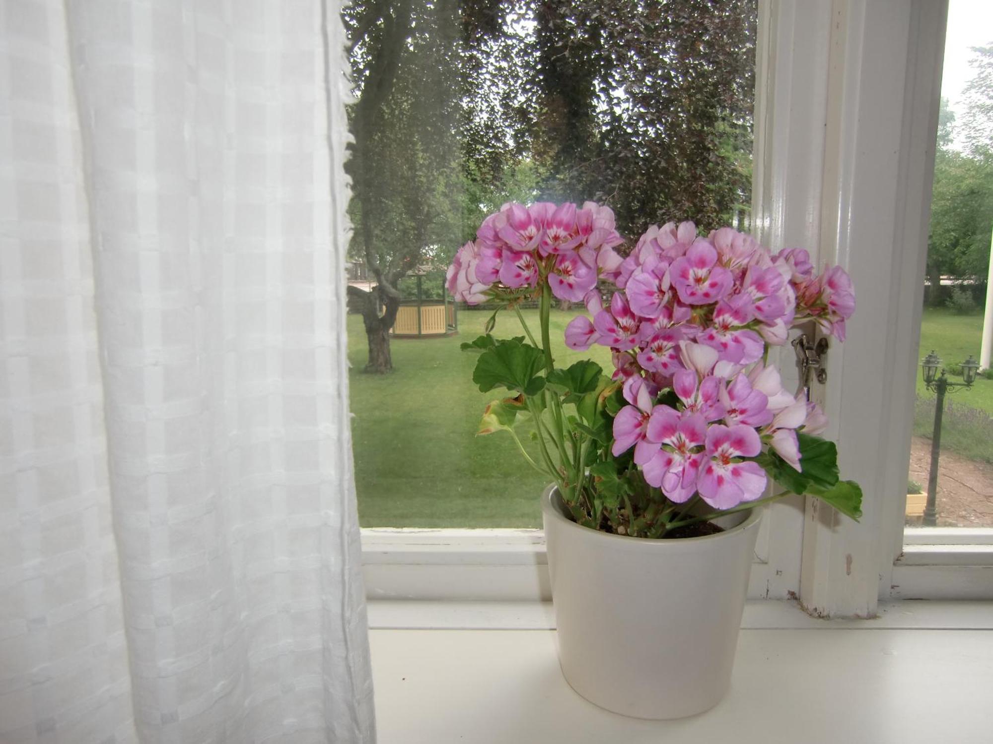 Hagaborg Bed & Breakfast Köpingsvik Екстериор снимка